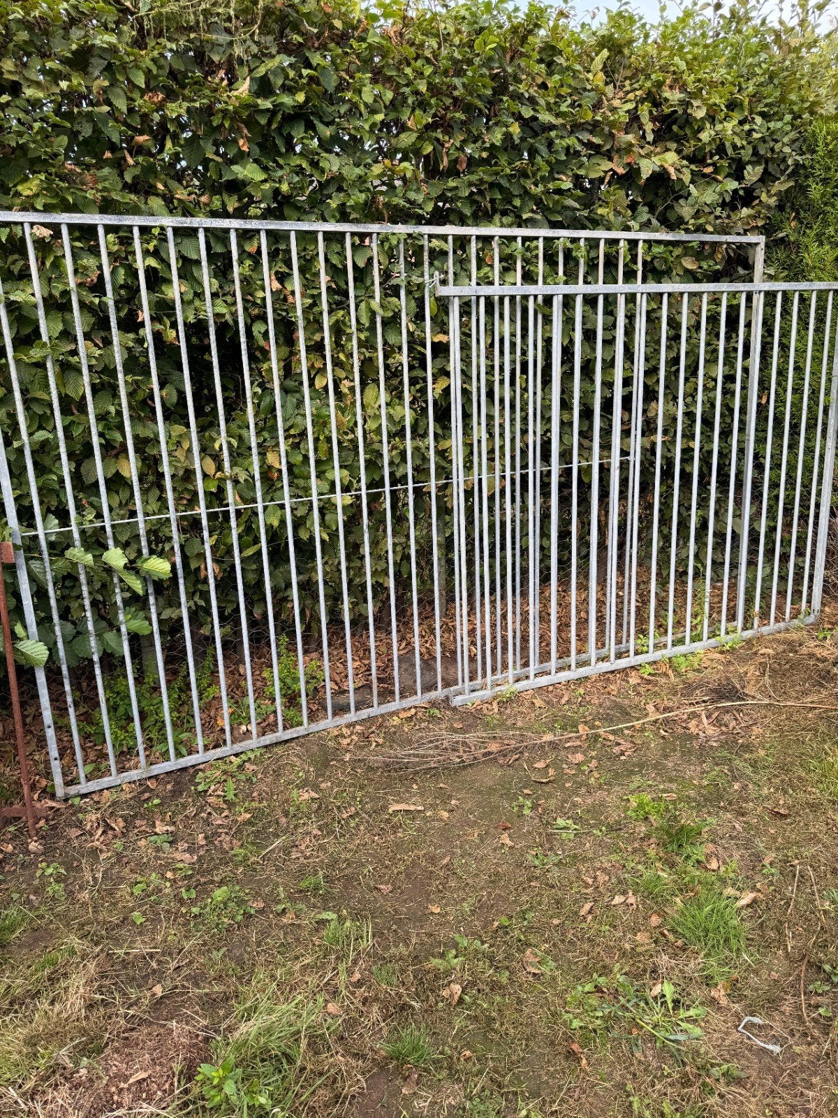 hondenren 2x3m gegalvaniseerd staal, Ophalen, 110 cm of meer, 100 cm of meer, Hondenhok