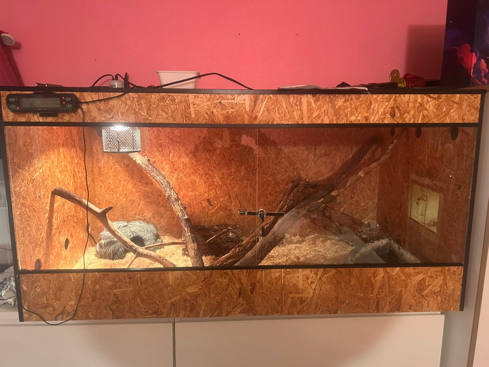 Terrarium osb + 🐍, Enlèvement, Comme neuf