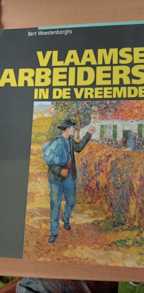 Vlaamse arbeiders in de vreemde, Boeken, Ophalen of Verzenden, Nieuw, Bert Woestenborghs