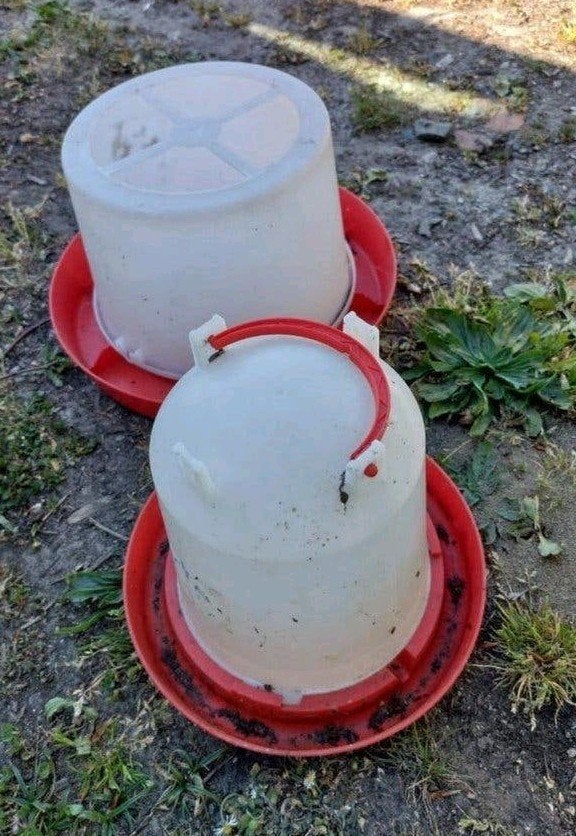 Abreuvoir et mangeoire pour poulets, Animaux & Accessoires, Volatiles | Accessoires, Enlèvement