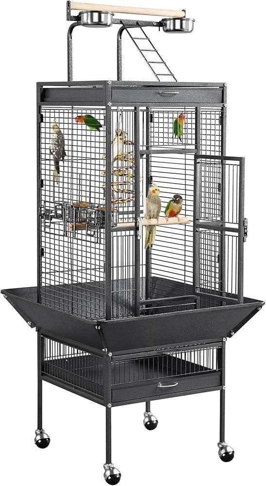 Je cherche d'urgence une cage pour un perroquet, Enlèvement ou Envoi