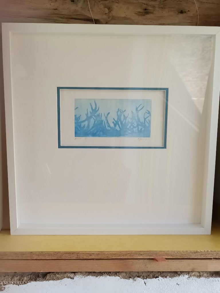 ets fotopolymeer, Antiek en Kunst, Ophalen, Ets