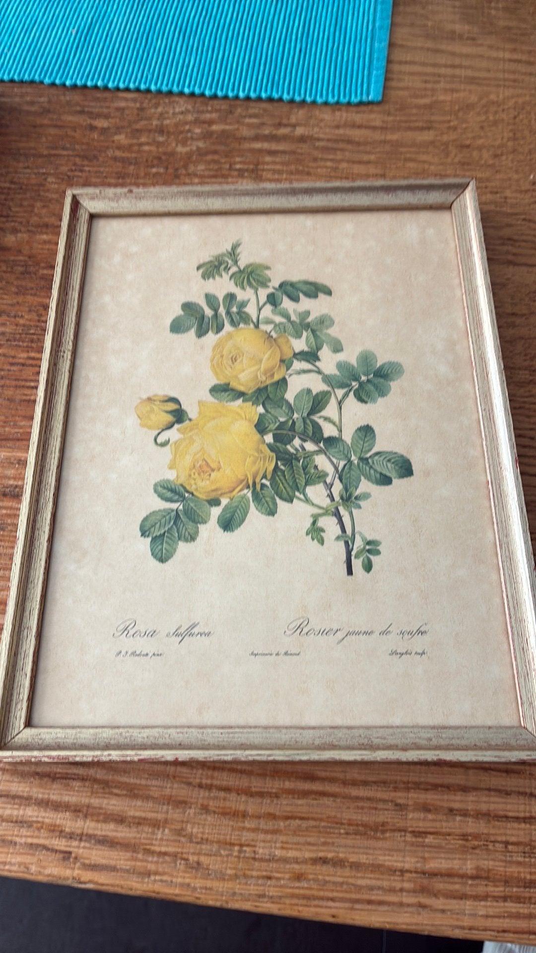 P.j redoute, Antiquités & Art, Art | Peinture | Classique, Enlèvement, Aquarelle