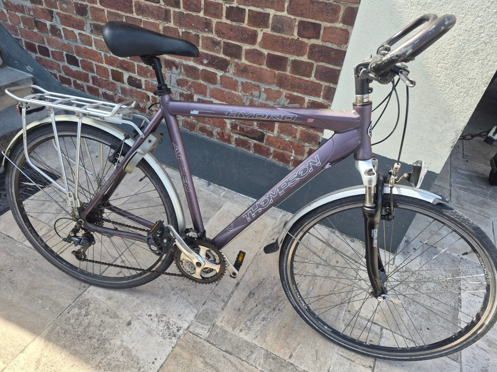 vélo homme Thompson taille L, Vélos & Vélomoteurs, Enlèvement