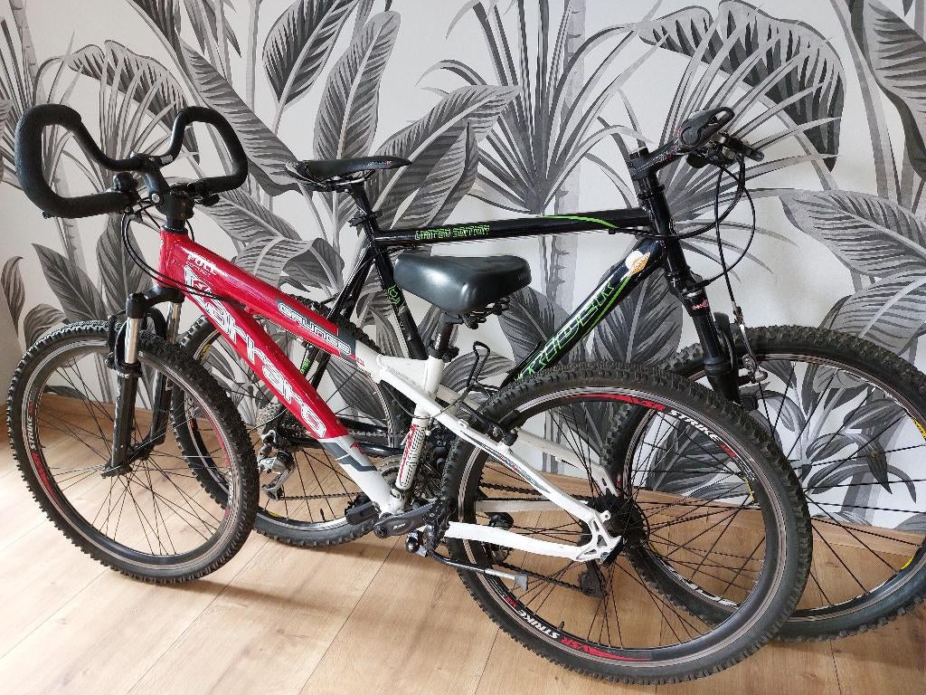 VTT homme + femme CACHERA, Fietsen en Brommers, Fietsen | Heren | Herenfietsen, Zo goed als nieuw, Overige merken, Versnellingen