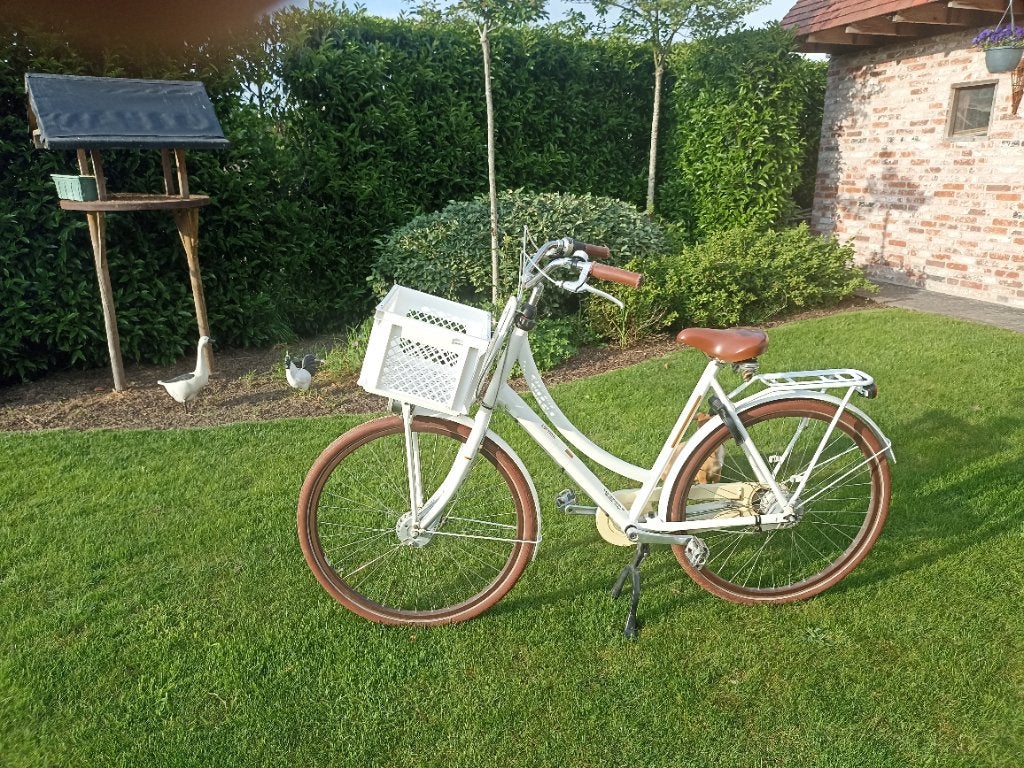 Fiets, Fietsen en Brommers, Ophalen, Gebruikt, Overige merken, Versnellingen