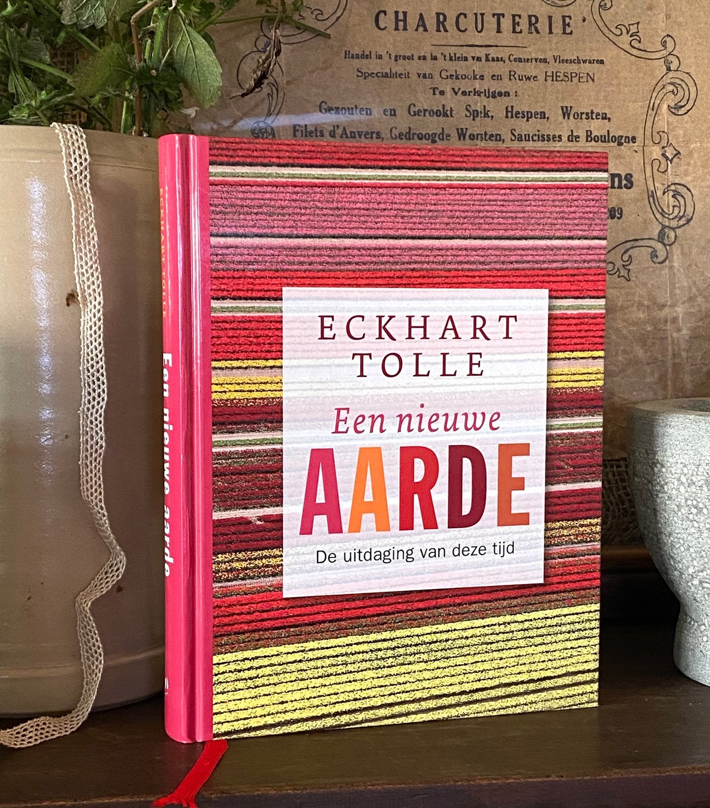 Een nieuwe aarde • Eckhart Tolle, Boeken, Ophalen of Verzenden, Zo goed als nieuw