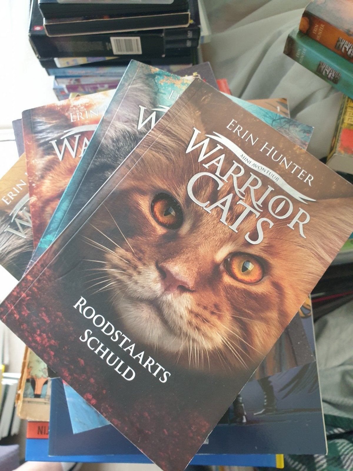 Erin Hunter - Roodstaarts schuld MINI AVONTUUR, Enlèvement ou Envoi, Comme neuf, Erin Hunter