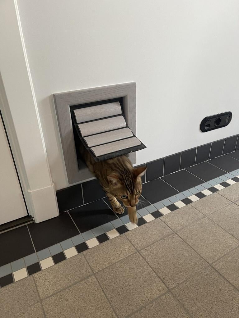 Houten kattenluik, Tochtvrij!  Nieuw €400!, Ophalen, Minder dan 50 cm, Zo goed als nieuw, Minder dan 100 cm