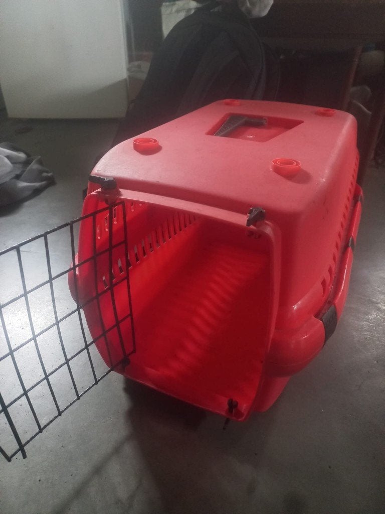 Reismand kat, Ophalen