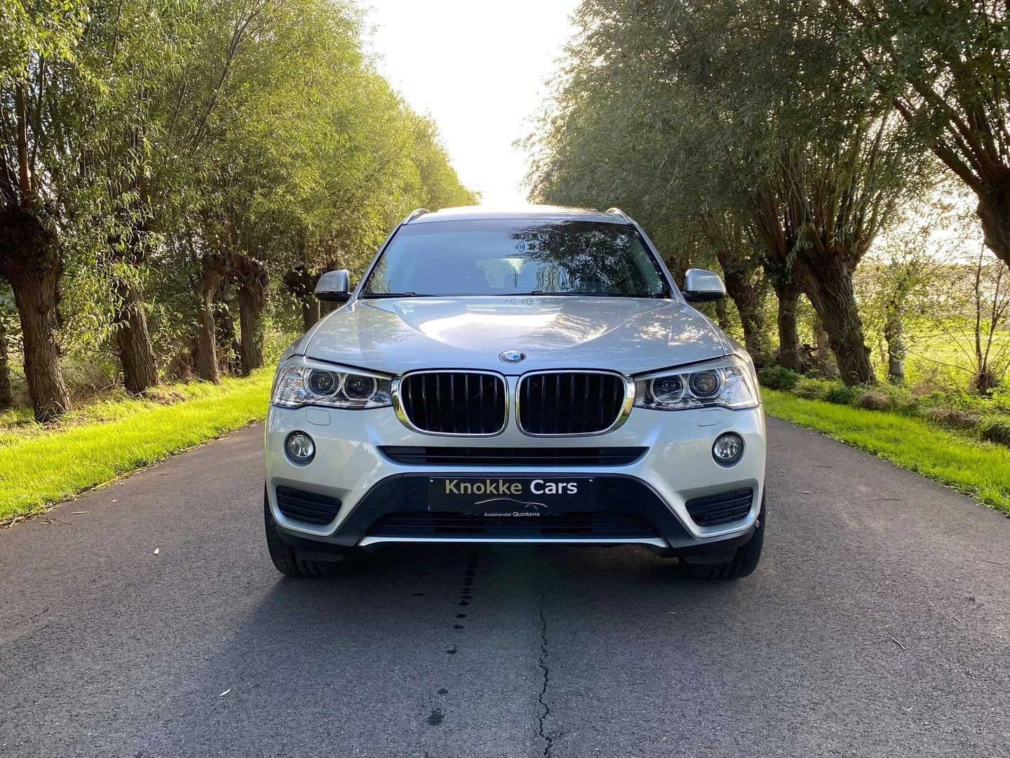BMW X3 2.0 d xDrive20,Leder,Trekhaak,4X4,panoramisch open da, Auto's, 4 cilinders, Leder, Bedrijf, 5 deurs