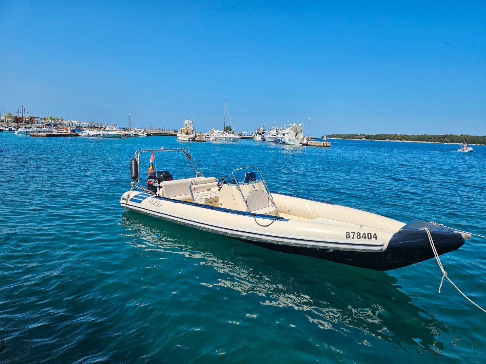 FALCON MARINE 700, Utilisé, Moteur hors-bord, Polyester, 120 à 200 ch