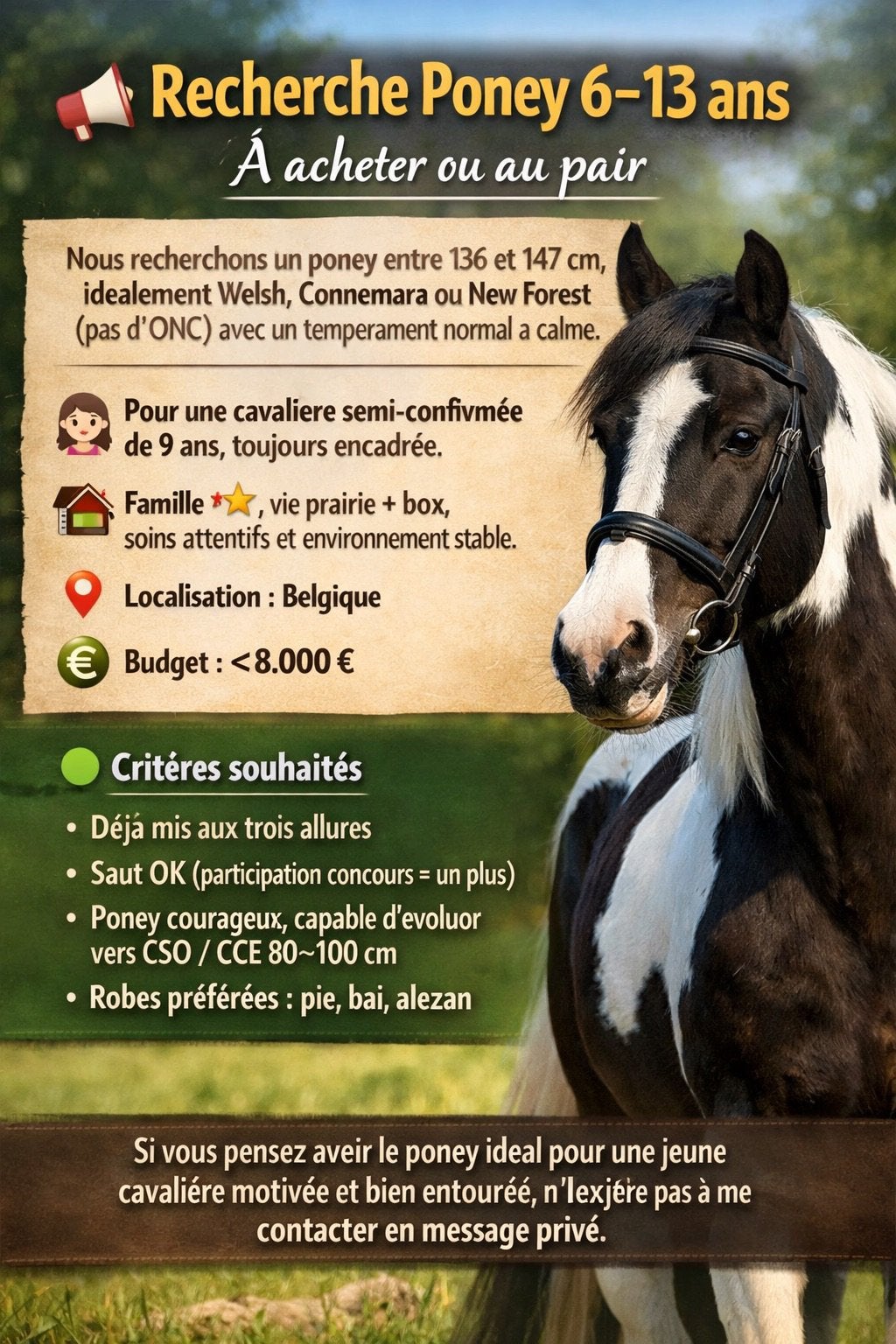 Cherche poney 140-149cm, Enlèvement, Comme neuf