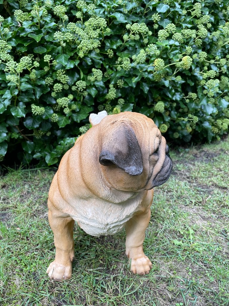 Mops hondje staand, gazon tuin 50cm, Ophalen, Nieuw, Kunststof, Dierenbeeld