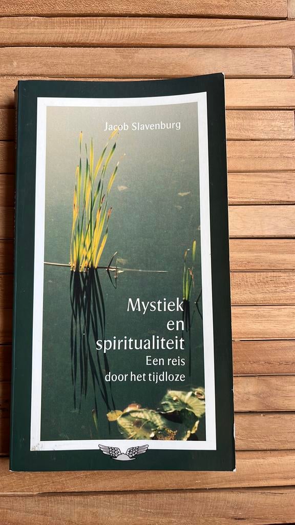 Jacob Slavenburg - Mystiek en spiritualiteit, Boeken, Ophalen of Verzenden, Zo goed als nieuw, Jacob Slavenburg