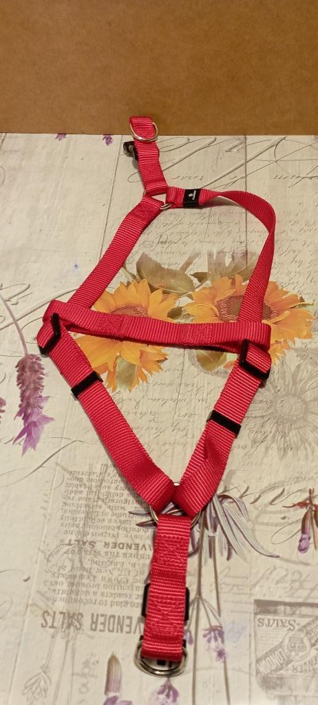 Harnais pour chien., Animaux & Accessoires, Enlèvement ou Envoi, Comme neuf