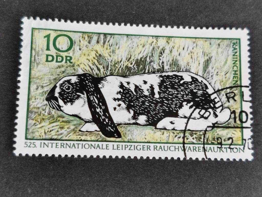 DDR 1970 - konijn, Ophalen of Verzenden, Gestempeld, Dier of Natuur