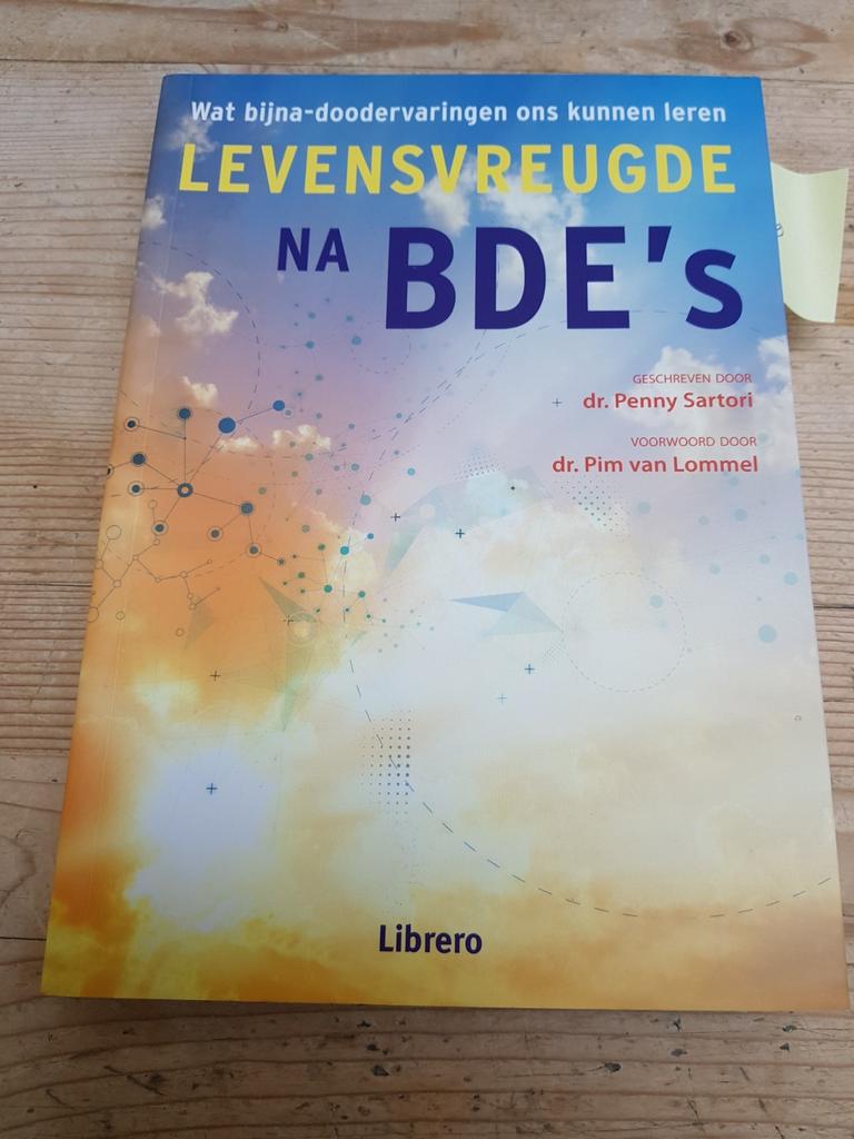 Penny Sartori - Levensvreugde na BDE's.        9789089986177, Ophalen of Verzenden, Zo goed als nieuw, Penny Sartori