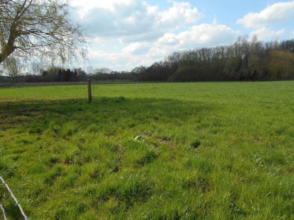 Weide / landbouwgront te koop, Immo, Verkoop zonder makelaar, 1500 m² of meer