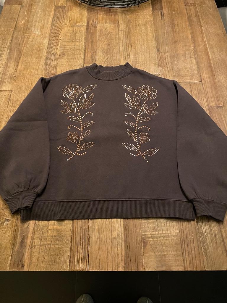 Bruine sweater met pailetten 164cm, Kinderen en Baby's, Kinderkleding | Maat 164, Ophalen, Gebruikt, Meisje, Trui of Vest