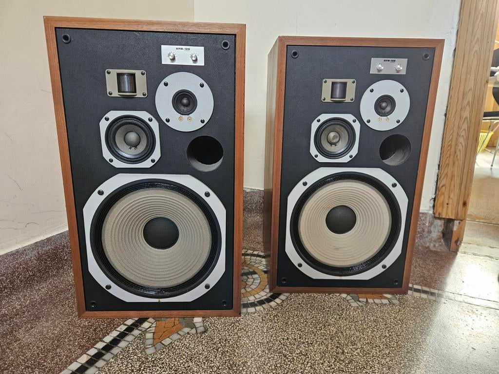 Pioneer HPM 100, Audio, Tv en Foto, Ophalen