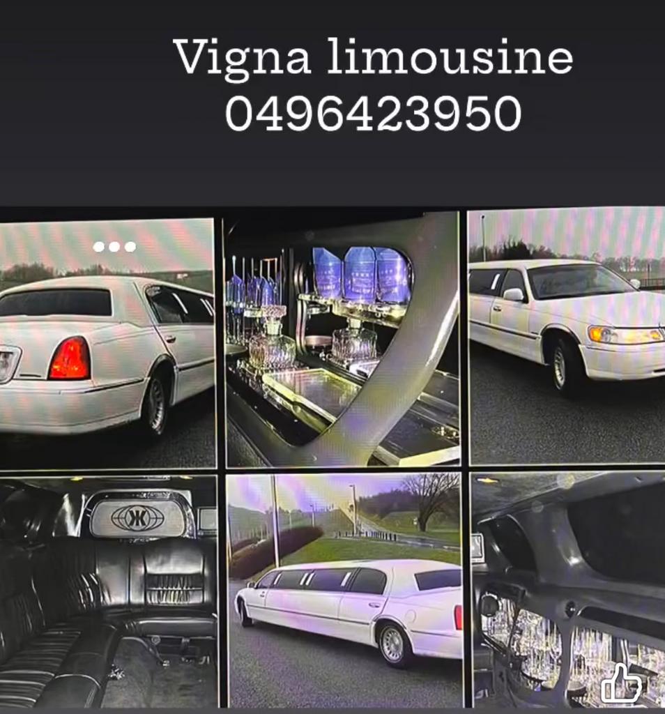Vigna limousine 0496423950 tot uw dienst sinds 1998, Ophalen of Verzenden