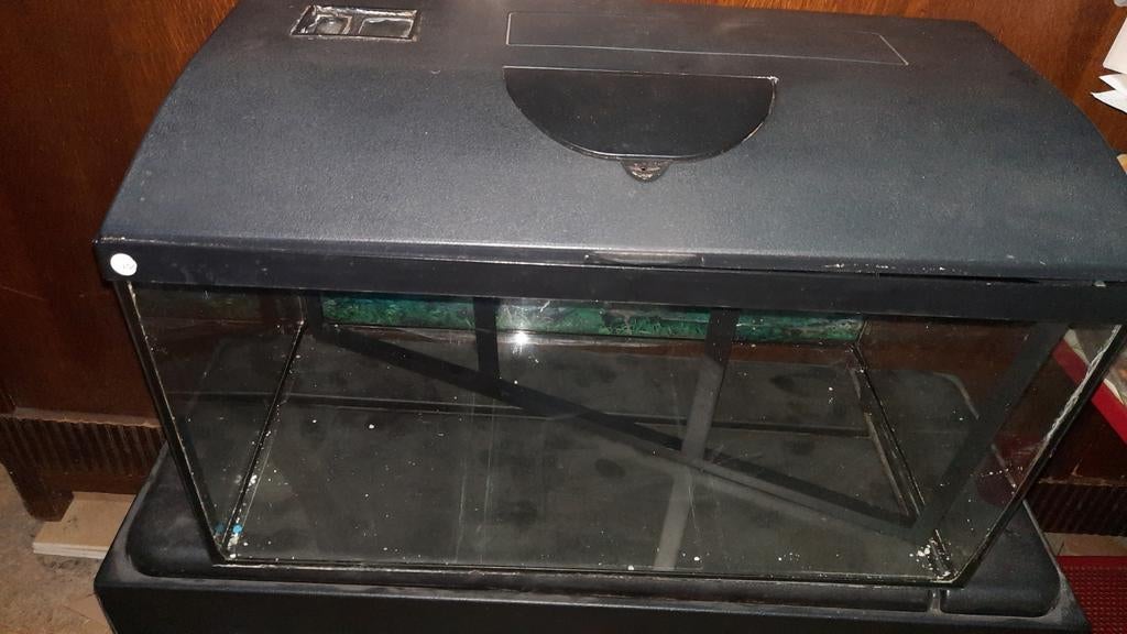 Aquarium 30 cm sur 60 cm, Enlèvement ou Envoi, Utilisé