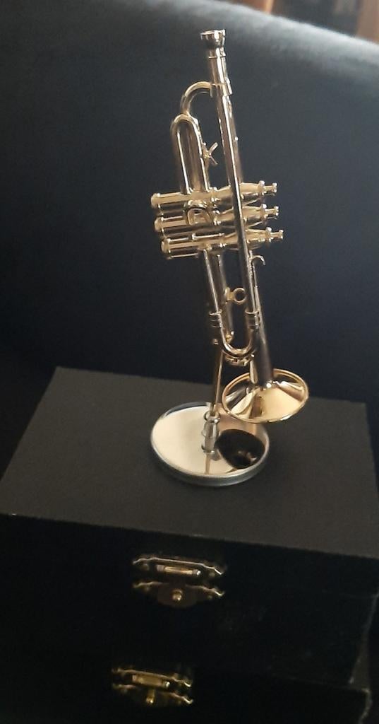 Miniatuurtjes muziekinstrumentjes... spelen geen muziek, Ophalen, Nieuw