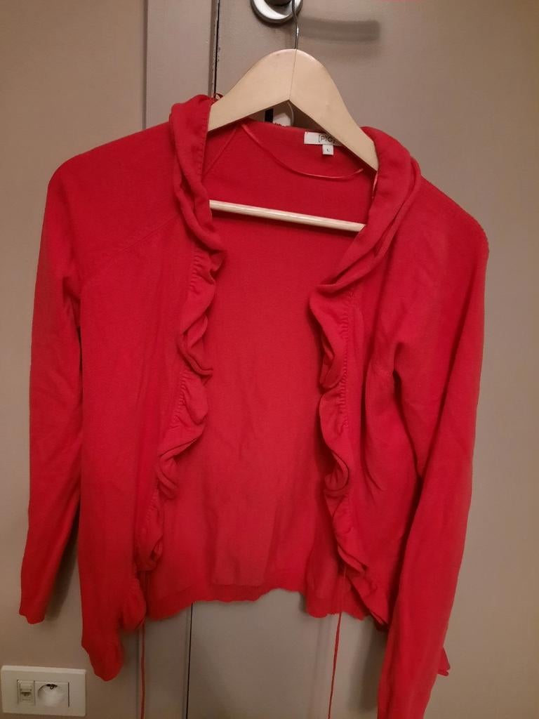 Gilet PTC maat L, Ophalen of Verzenden, Zo goed als nieuw, Maat 42/44 (L)