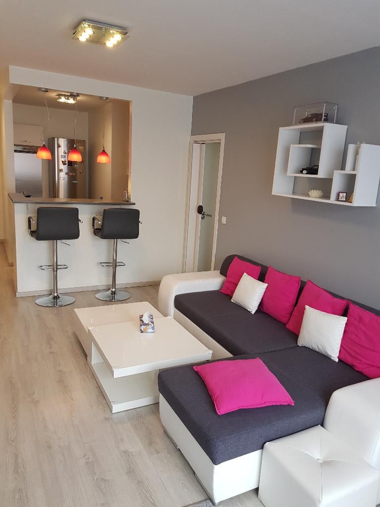 Appartement rénové 1ch à Vendre 1120 Bxl, 55 m², 298 kWh/m²/an, Appartement, Bruxelles