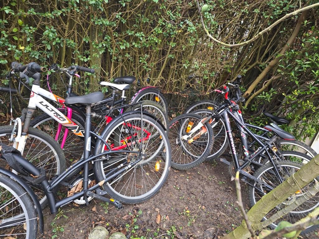 6 vélos (ocassion)