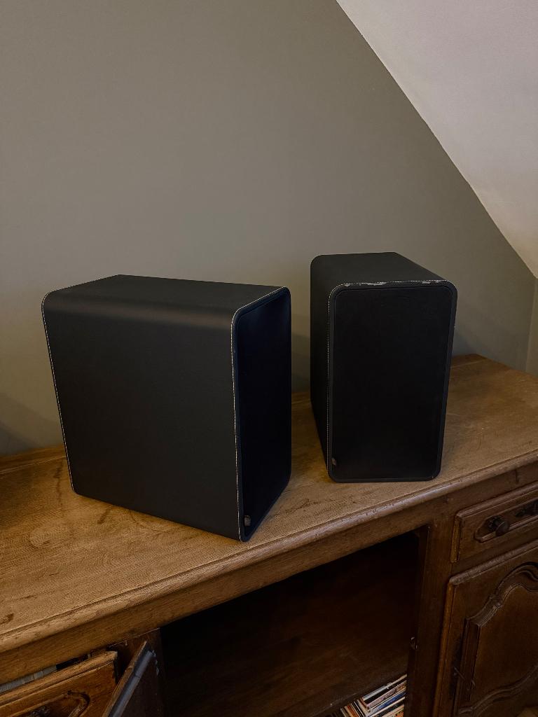 Haut - parleurs audio-pro (2x), Enlèvement, Utilisé, Haut-parleurs Frontaux, Arrière ou Stéréo, Autres marques