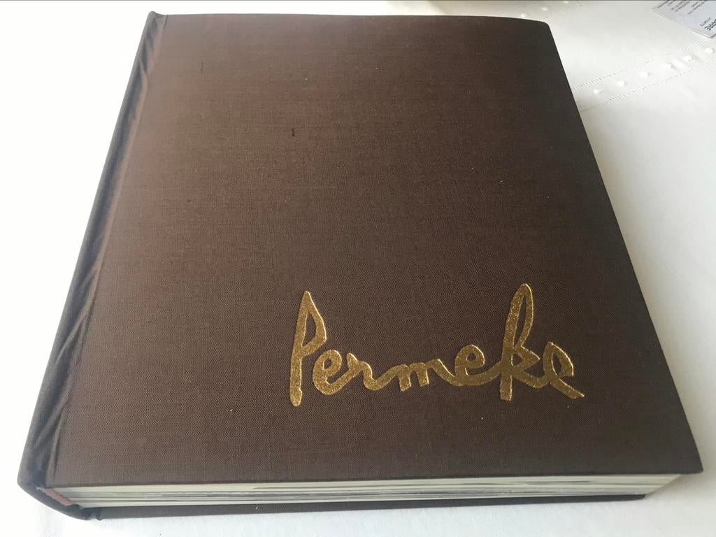 Constant Permeke catalogue raissoné 375pag, Ophalen of Verzenden, Zo goed als nieuw, Schilder- en Tekenkunst