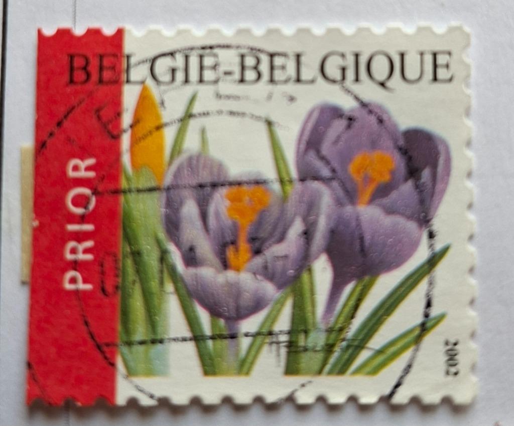 Timbres : Belgique OBP 3141/3141b, Enlèvement ou Envoi, Affranchi, Oblitéré