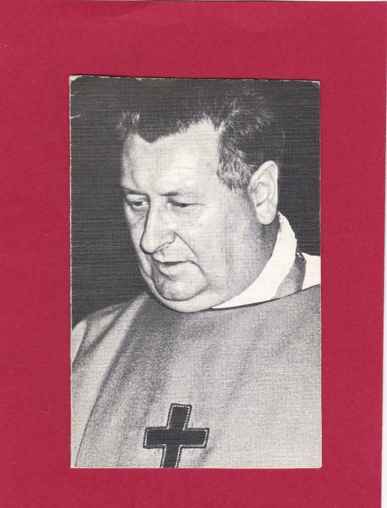 DP Priester Andre Hooghe, Ophalen of Verzenden, Bidprentje