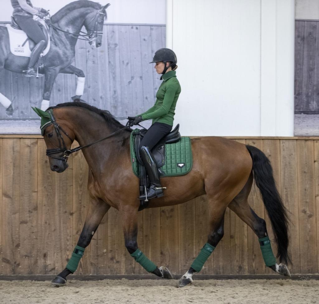 LeMieux Loire Hunter Green dressuur dekje GRATIS VERZENDING, Enlèvement ou Envoi, Neuf