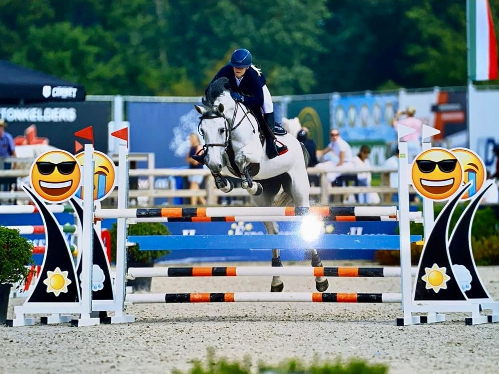 Ruiter en trainer aangeboden, Dieren en Toebehoren, Zadelmak