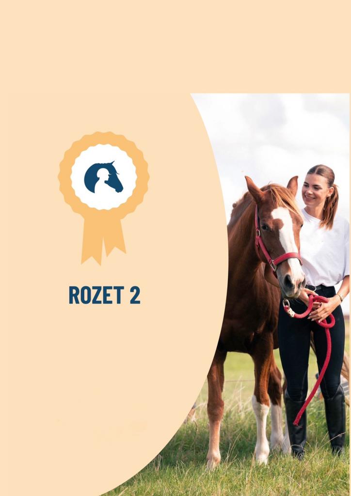 Ruiterbrevetten rozet 2 SAMENVATTING, Ophalen of Verzenden, Nieuw, Niet van toepassing, Astrid Huyghe