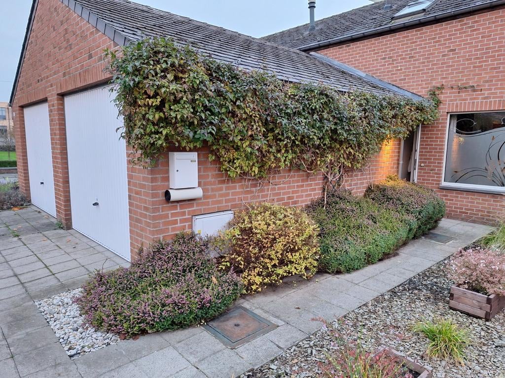 Jardinier mons, Saint-ghislain, Ath, Services & Professionnels