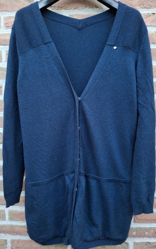 Blauwe cardigan Hampton Bays - maat 40/42, Ophalen of Verzenden, Zo goed als nieuw, Maat 42/44 (L), Blauw