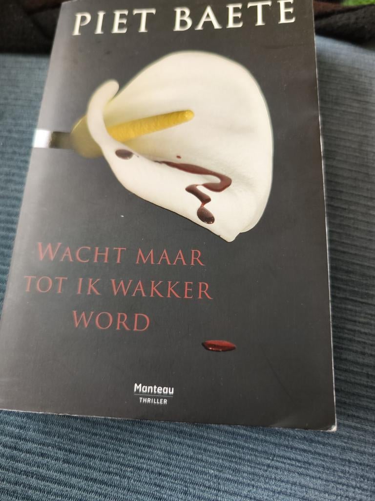 Piet Baete - Wacht maar tot ik wakker word, Boeken, Ophalen of Verzenden, Zo goed als nieuw, Piet Baete