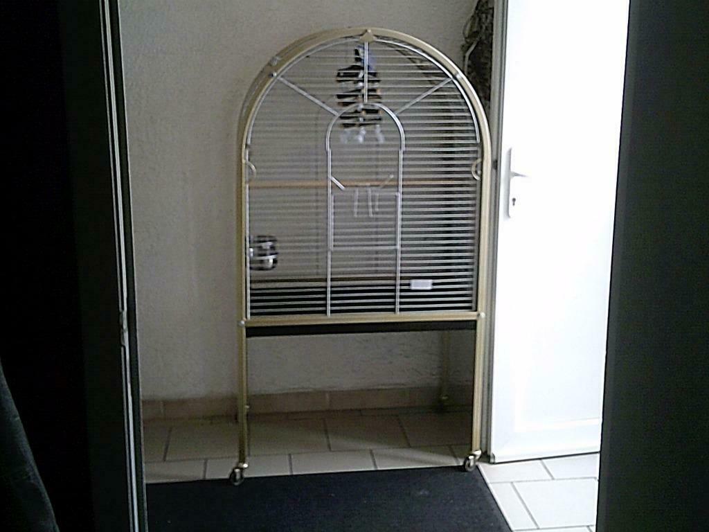 Un perchoir, une cage pour perroquet visitez mon site, Animaux & Accessoires, Enlèvement, Comme neuf