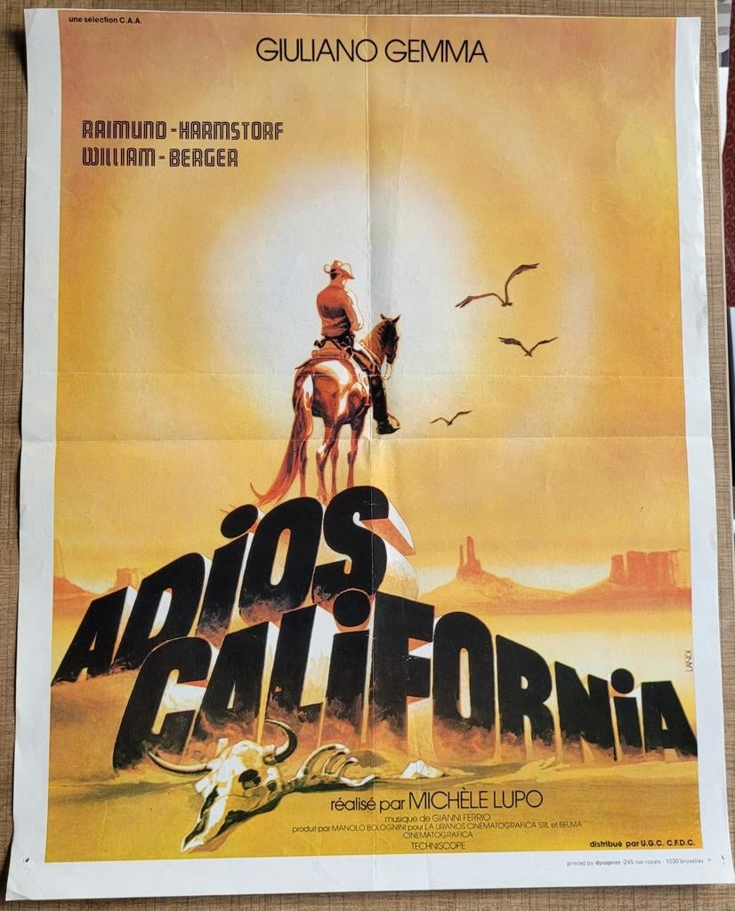 Oude filmposter: Adios California (1977), Verzamelen, Ophalen of Verzenden, Gebruikt, Film, Poster