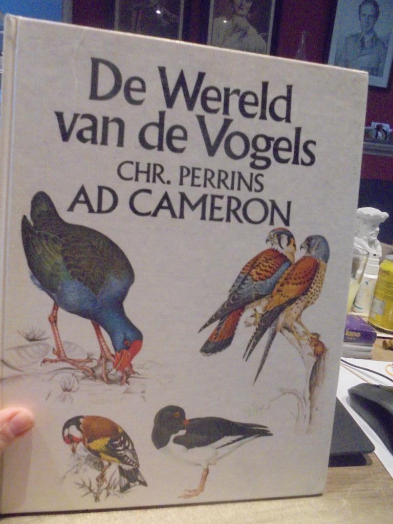 De wereld van de vogels, Livres, Nature, Enlèvement ou Envoi, Utilisé, Oiseaux