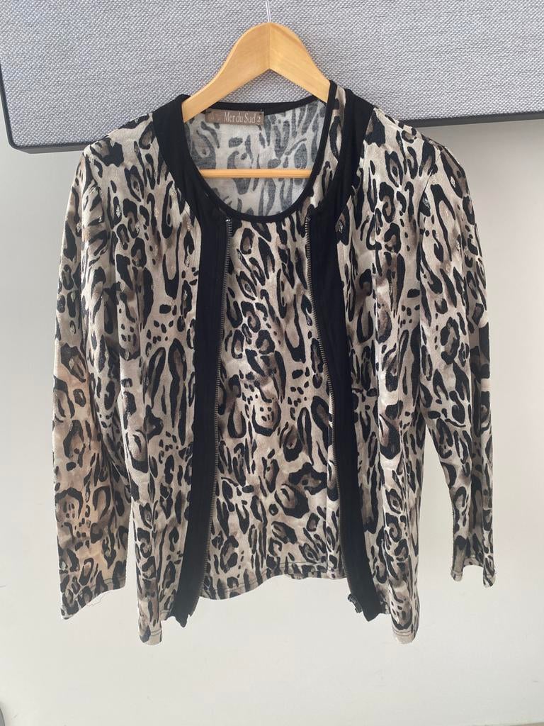 T shirt en gilet twinset, Kleding | Dames, Ophalen of Verzenden, Zo goed als nieuw