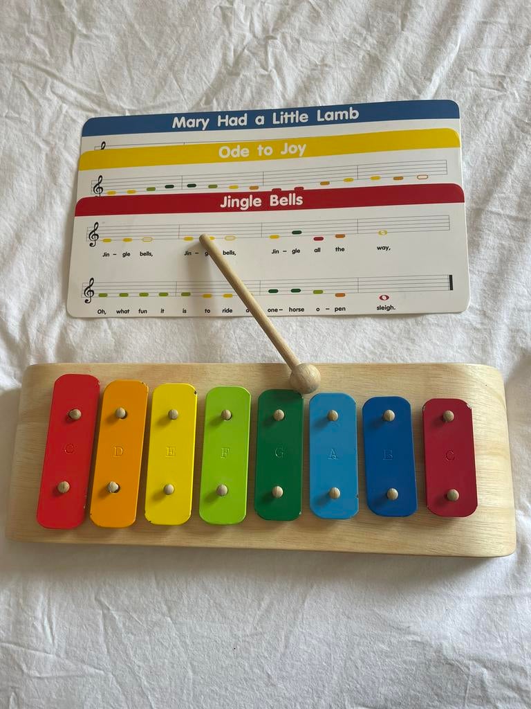 Xylophone, Utilisé