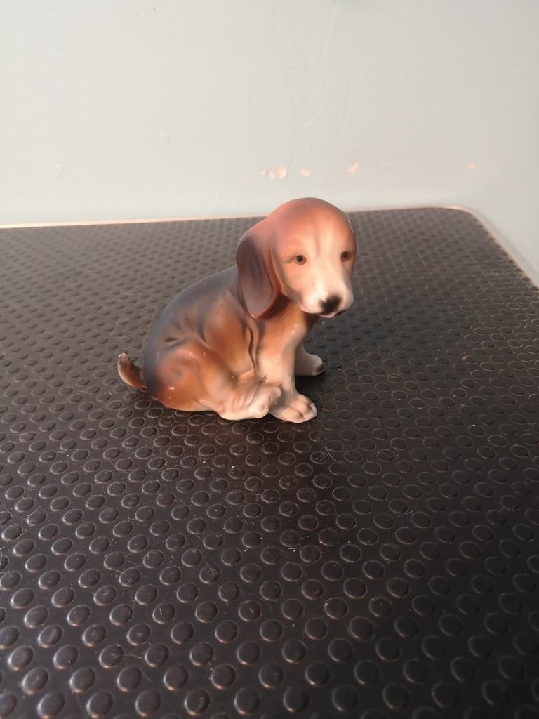 Beagle, Ophalen of Verzenden, Zo goed als nieuw