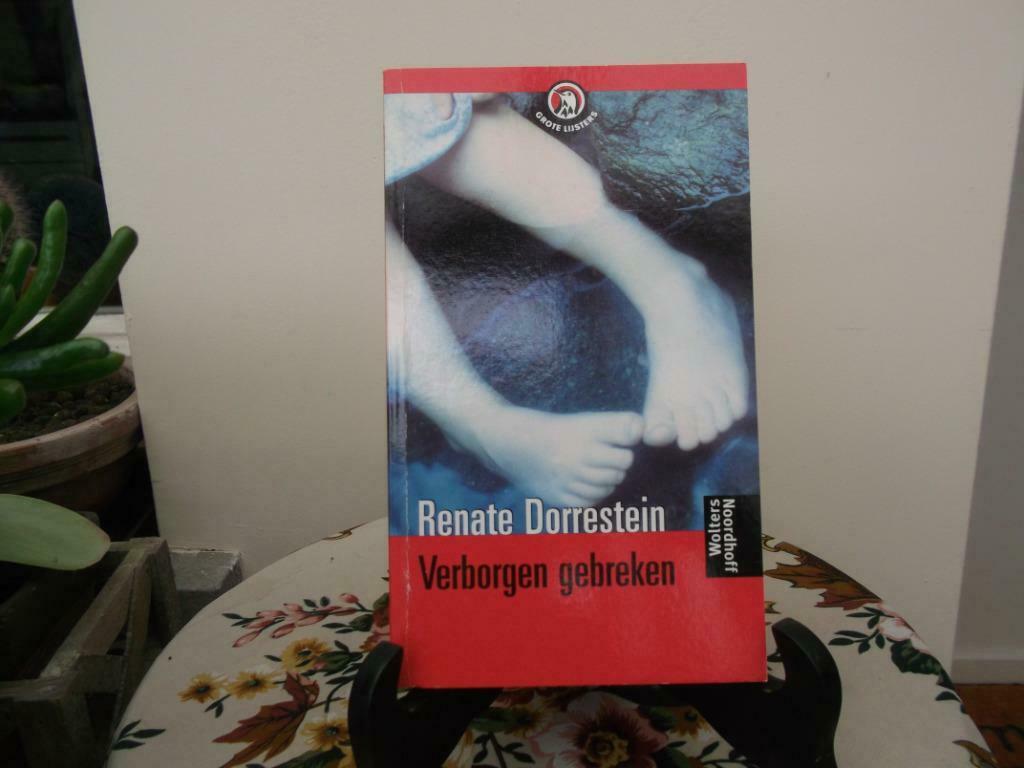 Verborgen gebreken, Ophalen of Verzenden, Zo goed als nieuw, Renate Dorrestein