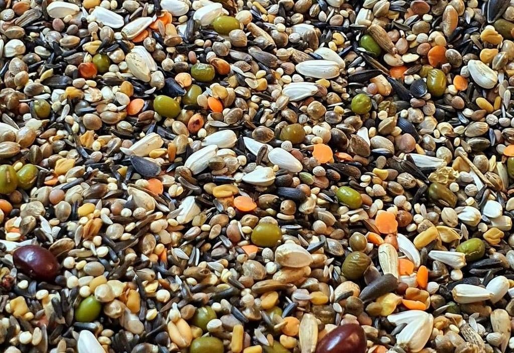 Kiemzaad Mix 3kg - 41 Zaden - Herb Bird Mix, Dieren en Toebehoren, Dierenvoeding, Ophalen