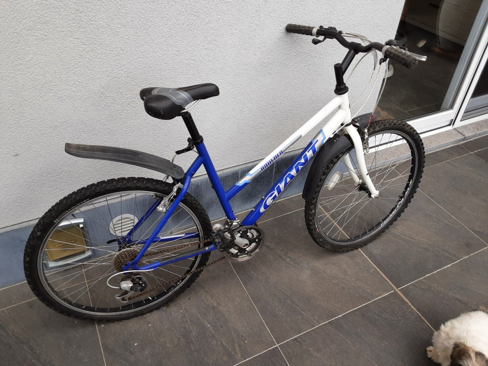 Citybike GIANT, Ophalen, Giant